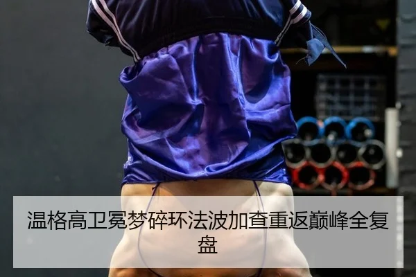 wen-ge-gao-wei-mian-meng-sui-huan-fa-bo-jia-cha-chong-fan-dian-feng-quan-fu-pan-2-775.jpg